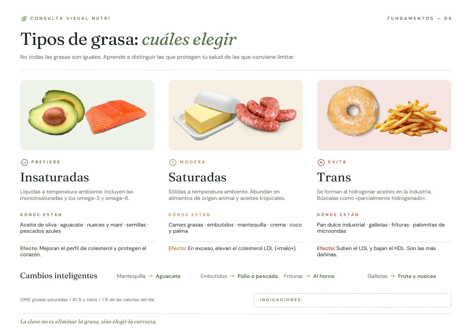 Lámina Tipos de grasa