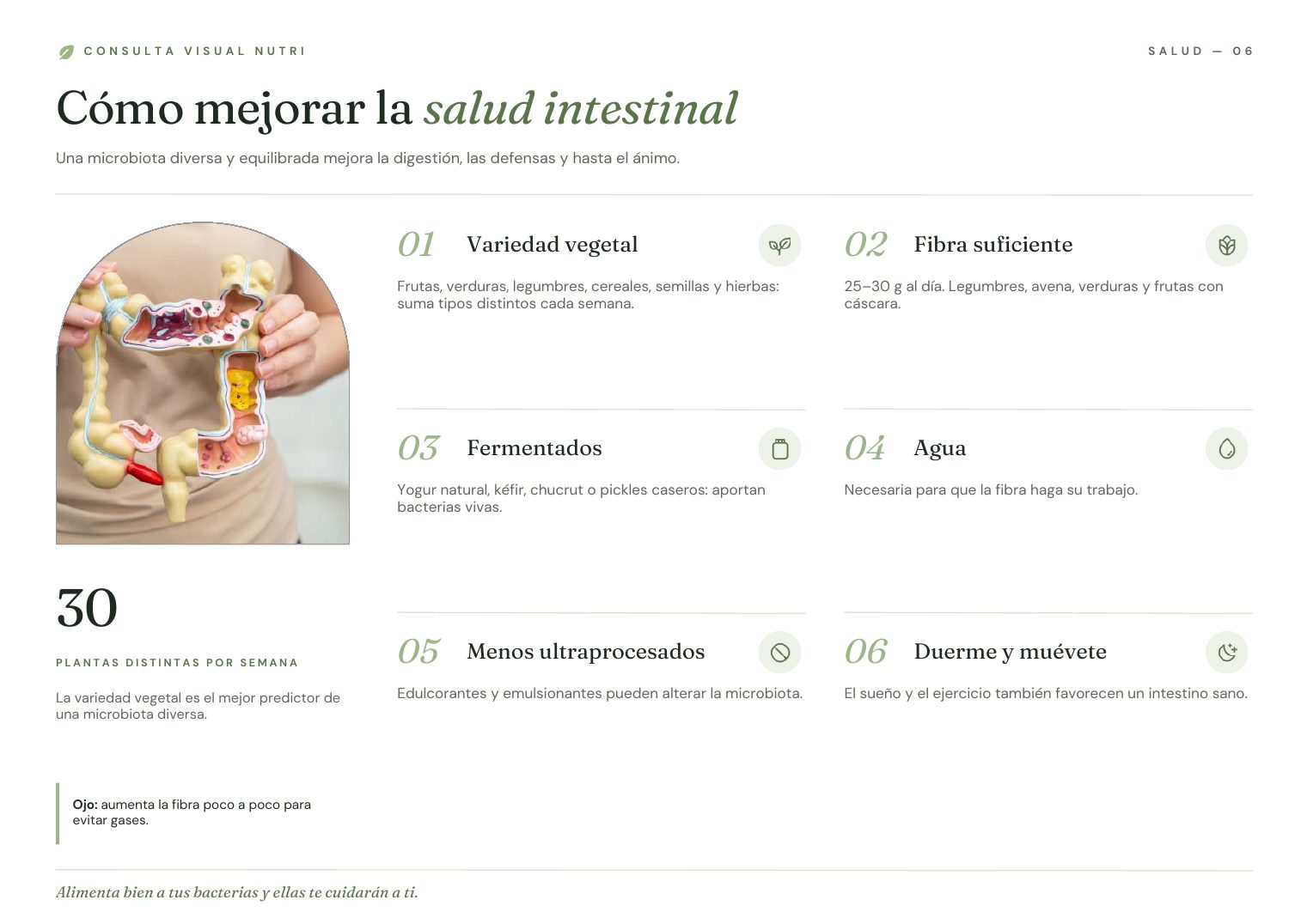 Lámina Cómo mejorar la salud intestinal