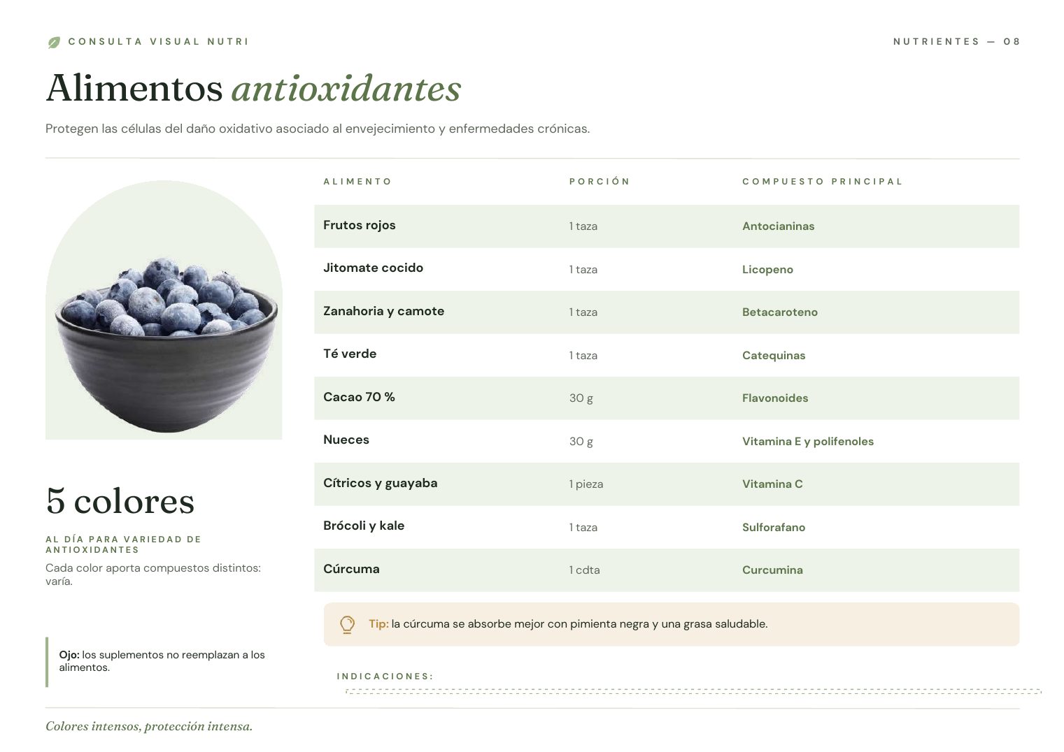 Lámina Alimentos antioxidantes